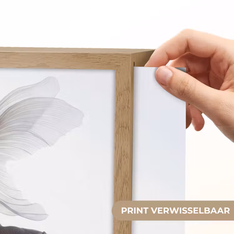 Lightbox - Wandlamp - Goudvissen - Modern - Wit — 5