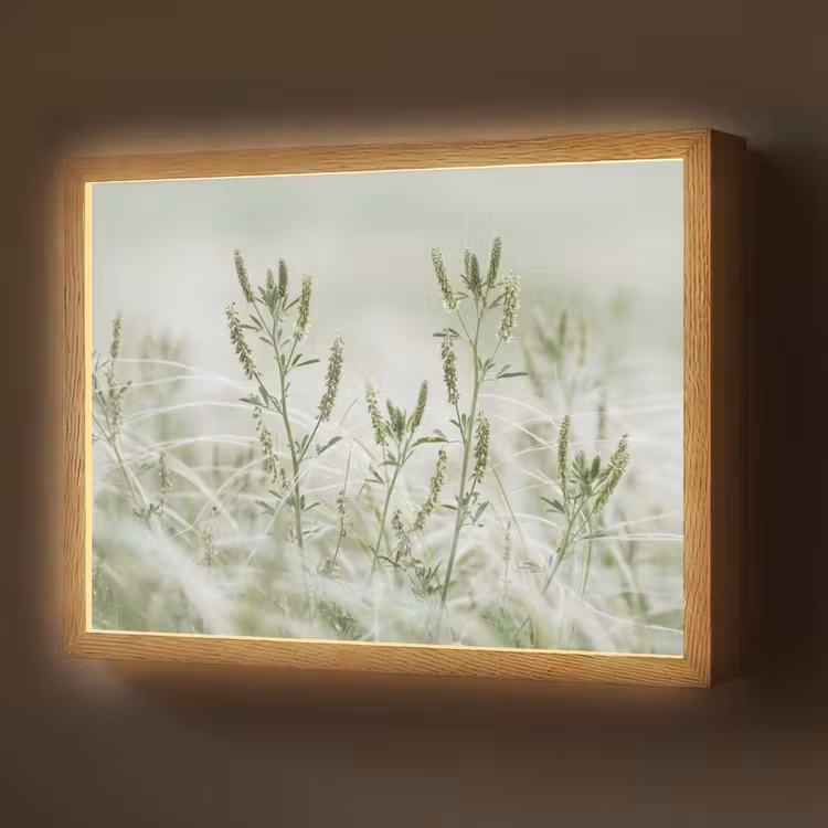 Lightbox - Wandlamp - Grassen - Minimalistisch - Groen — 1