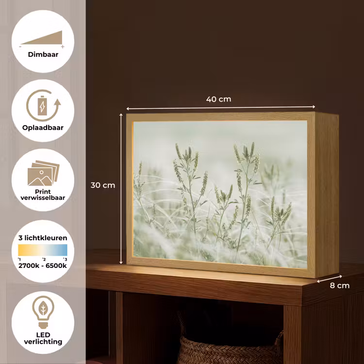 Lightbox - Wandlamp - Grassen - Minimalistisch - Groen — 10