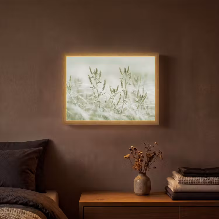 Lightbox - Wandlamp - Grassen - Minimalistisch - Groen — 3
