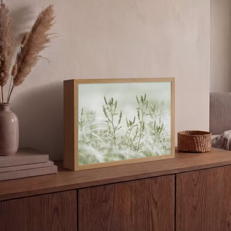 Lightbox - Wandlamp - Grassen - Minimalistisch - Groen — 4