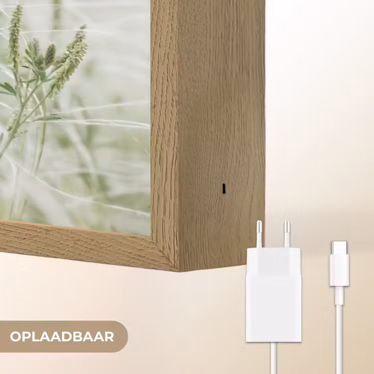 Lightbox - Wandlamp - Grassen - Minimalistisch - Groen — 7