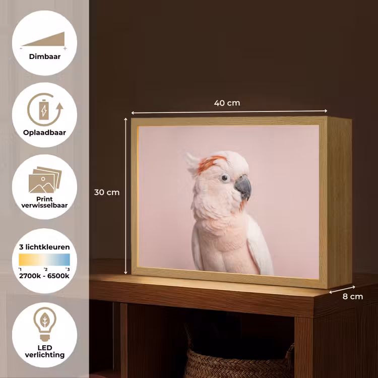 Lightbox - Wandlamp - Kaketoe - Portret - Roze — 10