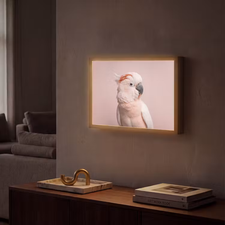 Lightbox - Wandlamp - Kaketoe - Portret - Roze — 2