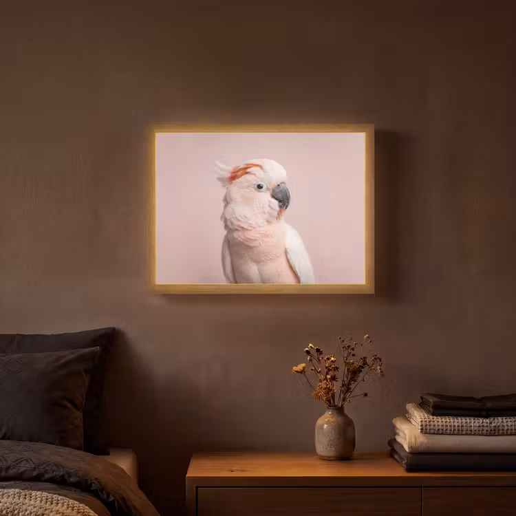 Lightbox - Wandlamp - Kaketoe - Portret - Roze — 3
