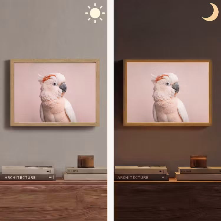 Lightbox - Wandlamp - Kaketoe - Portret - Roze — 6