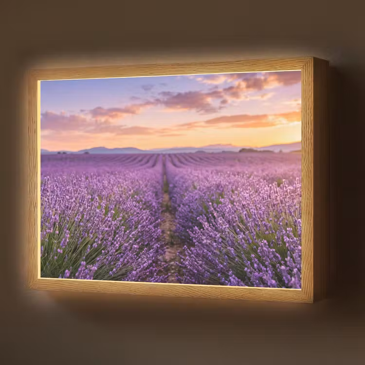 Lightbox - Wandlamp - Lavendel - Veld - Natuur - Paars — 1