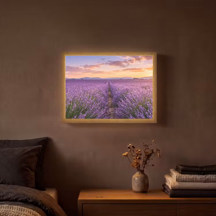 Lightbox - Wandlamp - Lavendel - Veld - Natuur - Paars — 3