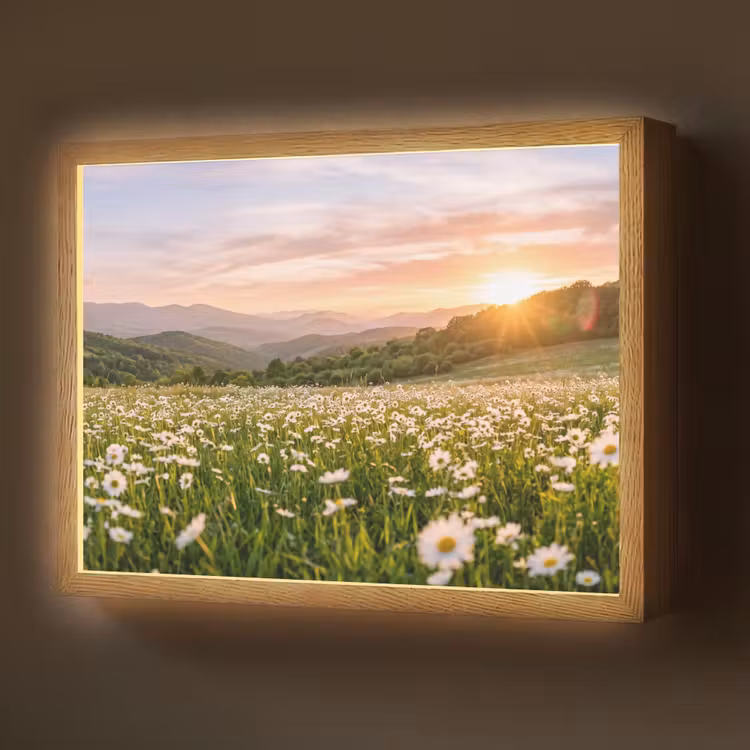 Lightbox - Wandlamp - Madelief - Veld - Heuvels - Groen — 1
