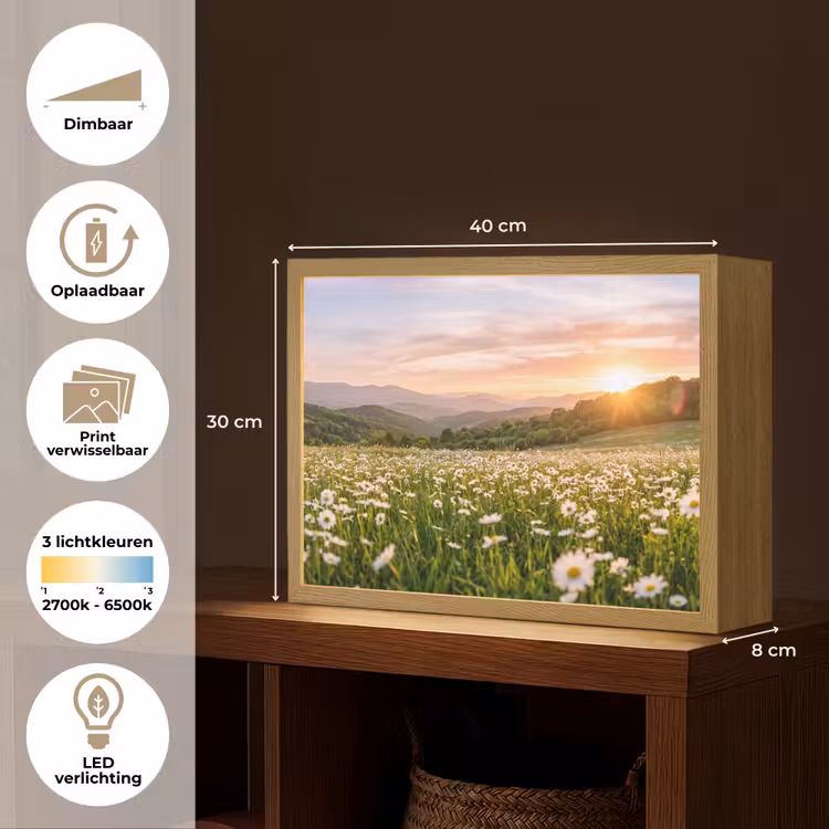Lightbox - Wandlamp - Madelief - Veld - Heuvels - Groen — 10