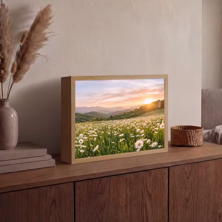 Lightbox - Wandlamp - Madelief - Veld - Heuvels - Groen — 4