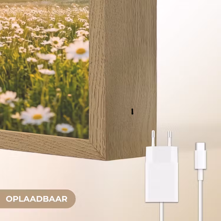 Lightbox - Wandlamp - Madelief - Veld - Heuvels - Groen — 7