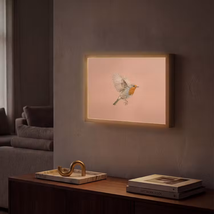 Lightbox - Wandlamp - Roodborst - Natuur - Roze — 2