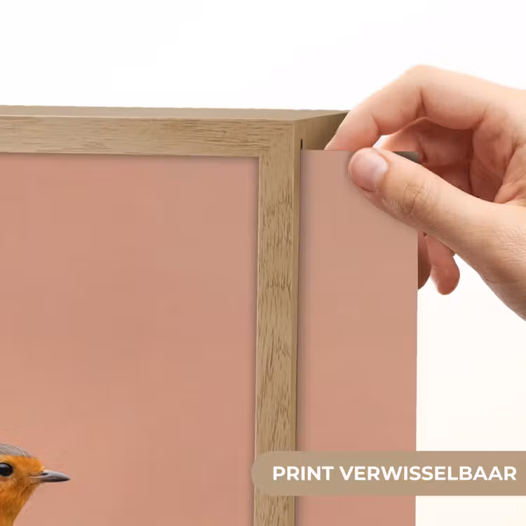 Lightbox - Wandlamp - Roodborst - Natuur - Roze — 5