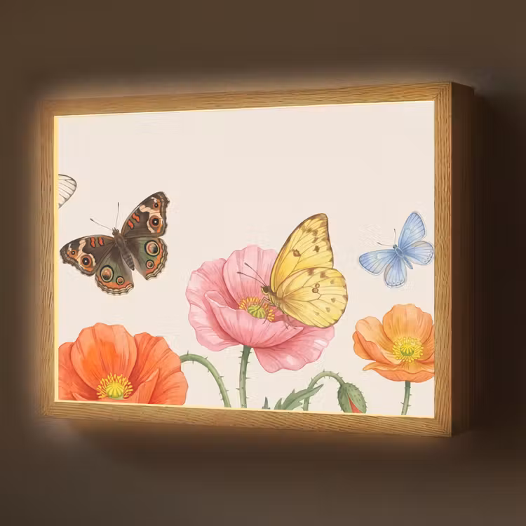 Lightbox - Wandlamp - Vlinders - Klaprozen - Illustratie - Kleurrijk — 1