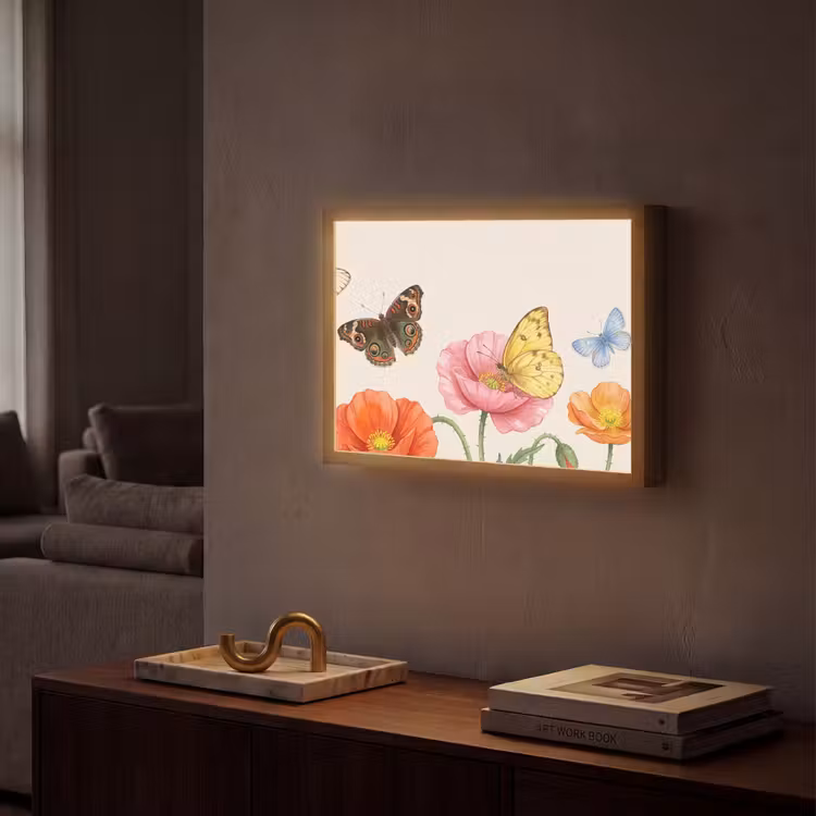 Lightbox - Wandlamp - Vlinders - Klaprozen - Illustratie - Kleurrijk — 2