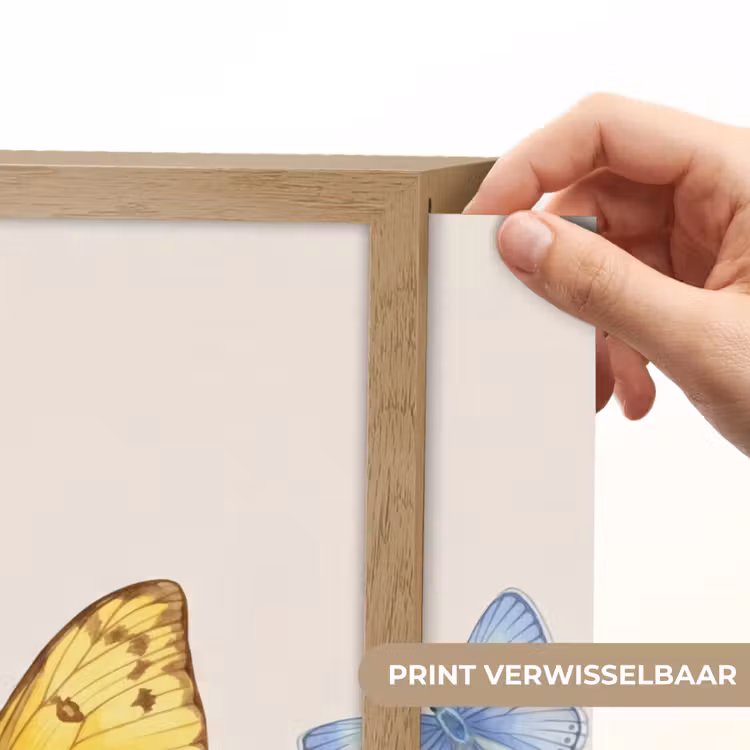 Lightbox - Wandlamp - Vlinders - Klaprozen - Illustratie - Kleurrijk — 5