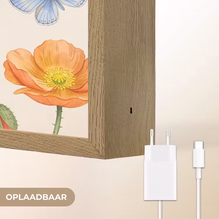 Lightbox - Wandlamp - Vlinders - Klaprozen - Illustratie - Kleurrijk — 7