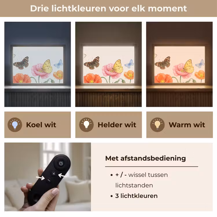 Lightbox - Wandlamp - Vlinders - Klaprozen - Illustratie - Kleurrijk — 8