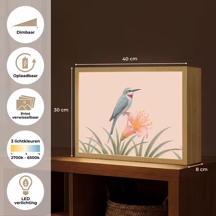 Lightbox - Wandlamp - Vogel - Bloem - Natuur - Roze — 10