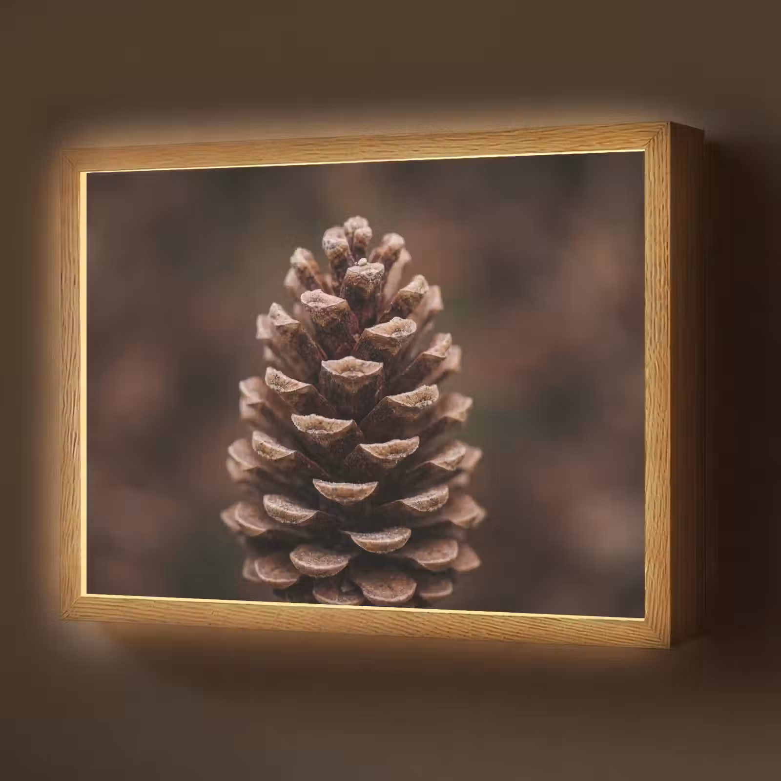 Lightbox - Wandlamp - Dennenappel - Bos - Herfst - Bruin - Sfeervol — 1