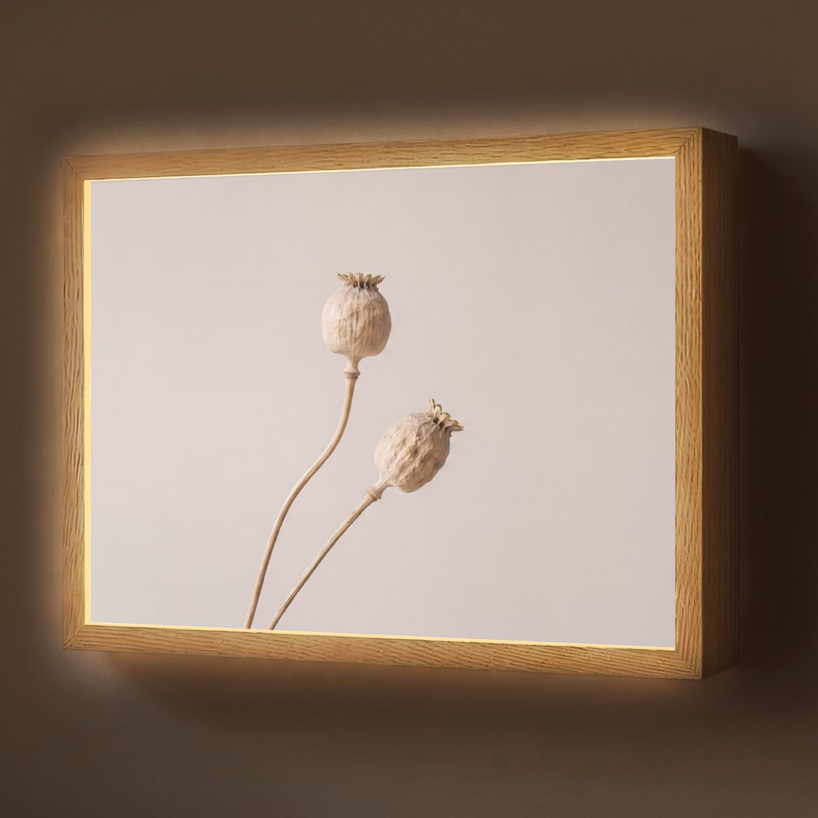 Lightbox - Wandlamp - Papaverbollen - Droogbloemen - Minimalistisch - Beige - Rustig — 1