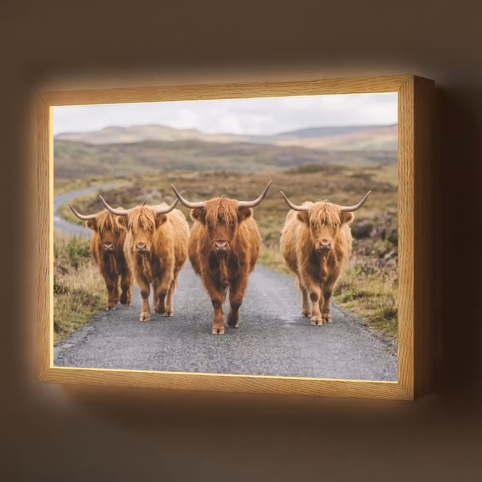 Lightbox - Wandlamp - Schotse Hooglanders - Weg - Landschap - Kudde — 1