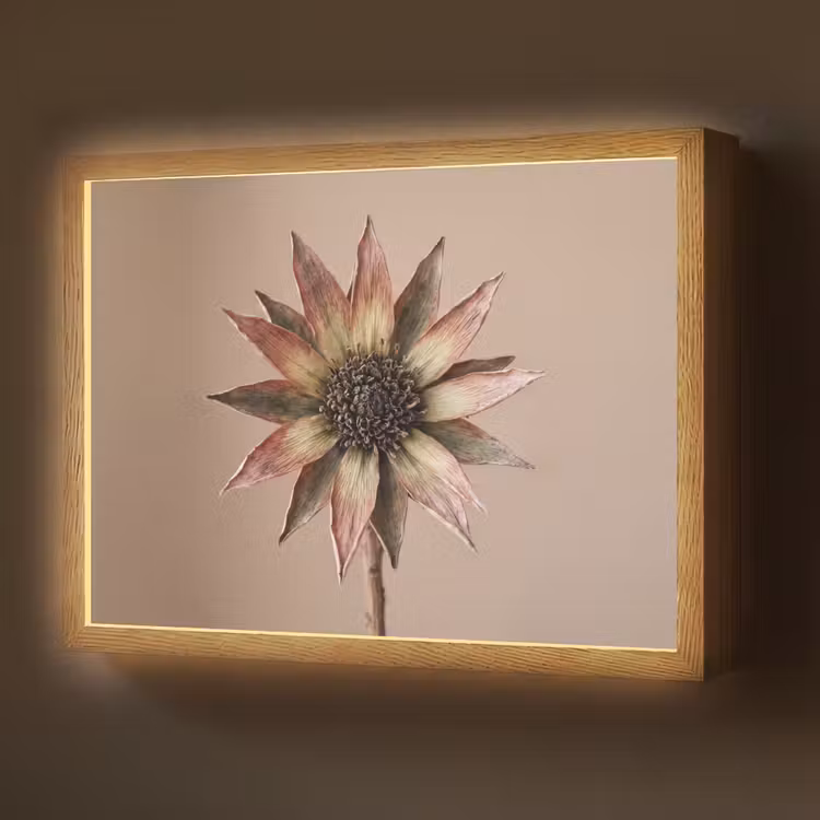 Lightbox - Wandlamp - Droogbloem - Protea - Vintage - Beige - Rustiek — 1
