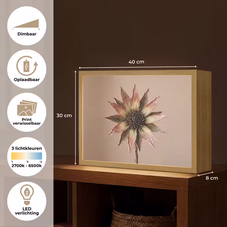 Lightbox - Wandlamp - Droogbloem - Protea - Vintage - Beige - Rustiek — 10