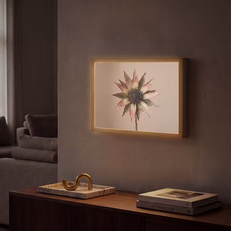 Lightbox - Wandlamp - Droogbloem - Protea - Vintage - Beige - Rustiek — 2