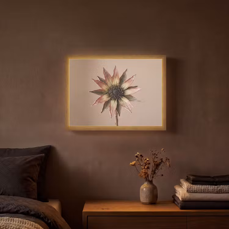 Lightbox - Wandlamp - Droogbloem - Protea - Vintage - Beige - Rustiek — 3