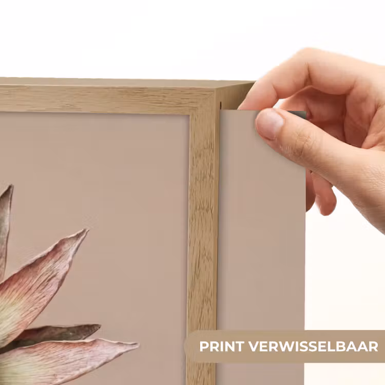 Lightbox - Wandlamp - Droogbloem - Protea - Vintage - Beige - Rustiek — 5