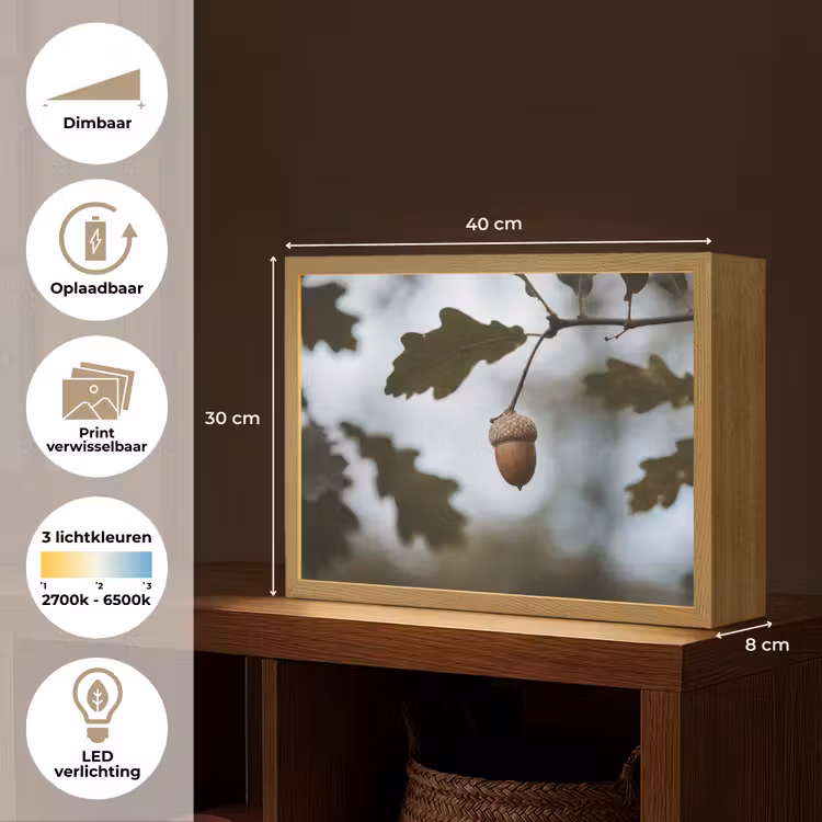 Lightbox - Wandlamp - Eikel - Eikenblad - Bos - Herfst - Natuur — 10
