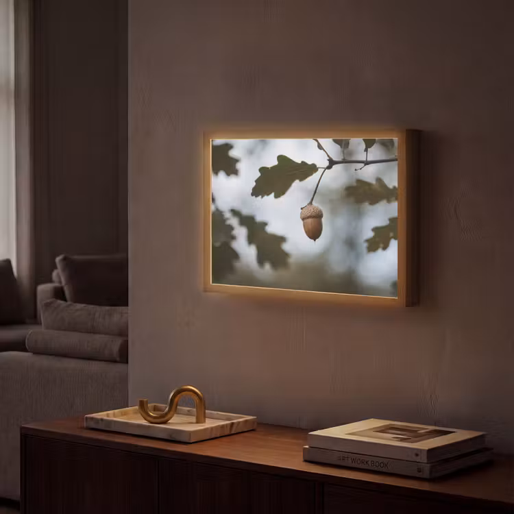 Lightbox - Wandlamp - Eikel - Eikenblad - Bos - Herfst - Natuur — 2