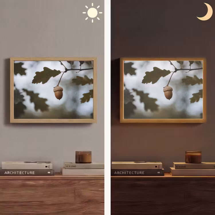 Lightbox - Wandlamp - Eikel - Eikenblad - Bos - Herfst - Natuur — 6