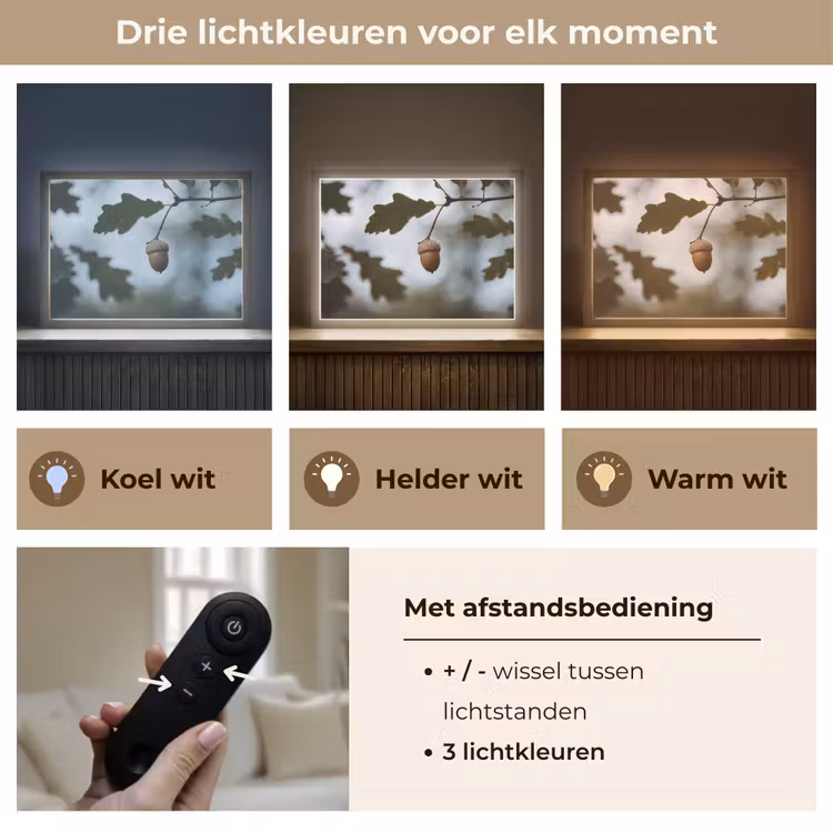 Lightbox - Wandlamp - Eikel - Eikenblad - Bos - Herfst - Natuur — 8