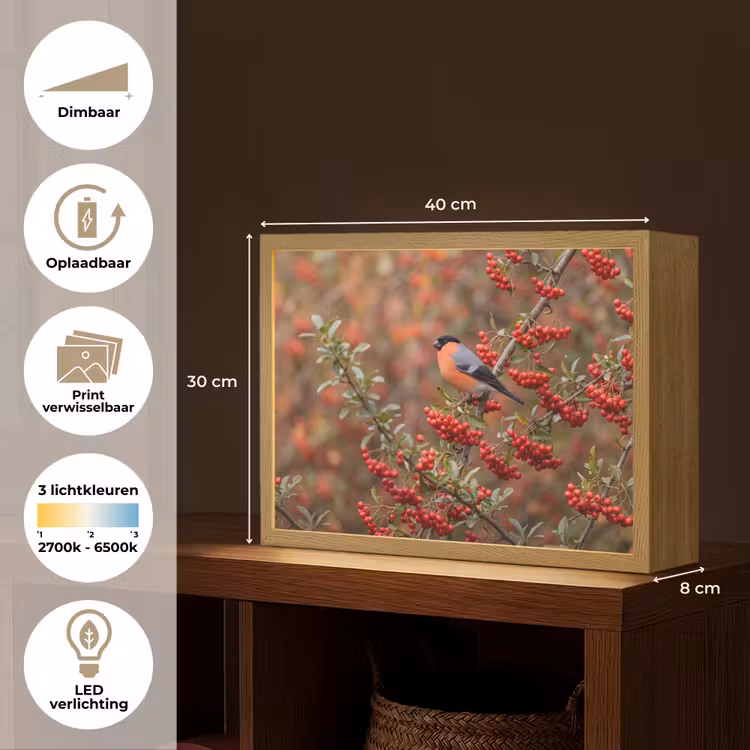 Lightbox - Wandlamp - Goudvink - Bessen - Herfst - Natuur - Kleurrijk — 10
