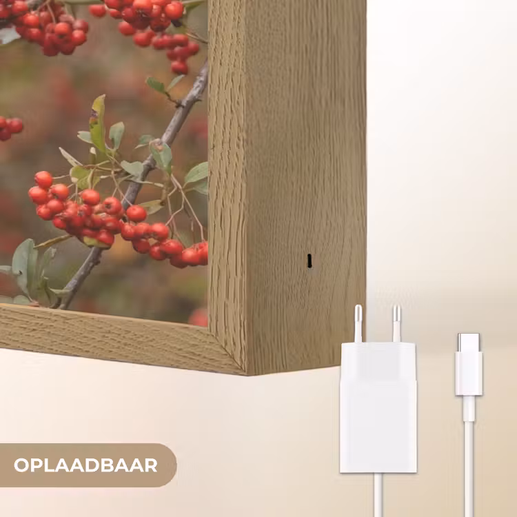 Lightbox - Wandlamp - Goudvink - Bessen - Herfst - Natuur - Kleurrijk — 7