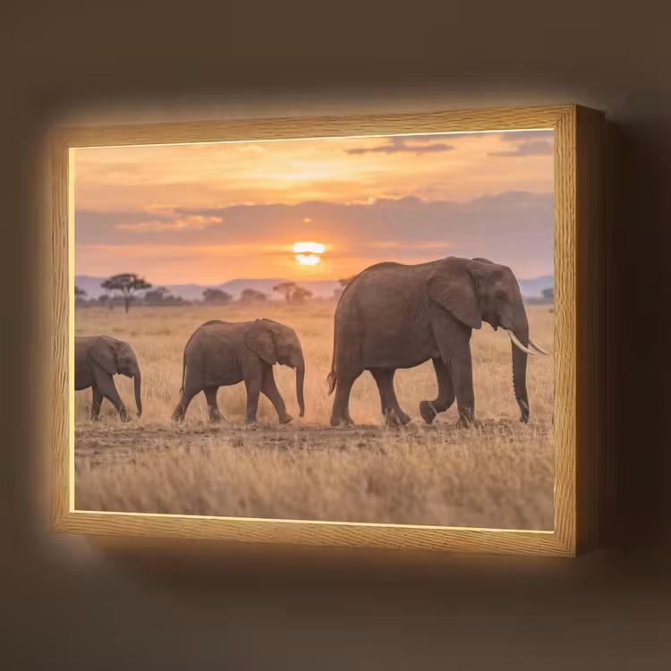 Lightbox - Wandlamp - Olifanten - Savanne - Zonsondergang - Afrika - Warm — 1