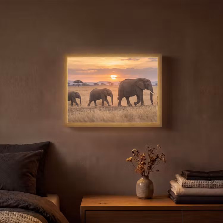 Lightbox - Wandlamp - Olifanten - Savanne - Zonsondergang - Afrika - Warm — 3