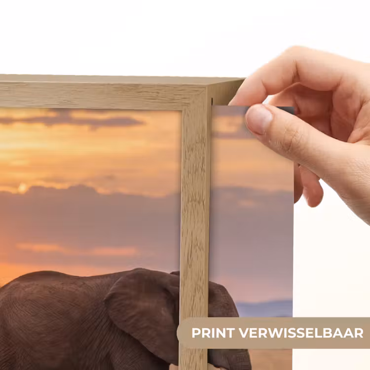 Lightbox - Wandlamp - Olifanten - Savanne - Zonsondergang - Afrika - Warm — 5