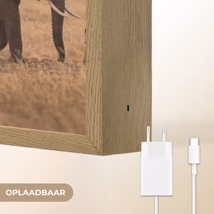 Lightbox - Wandlamp - Olifanten - Savanne - Zonsondergang - Afrika - Warm — 7