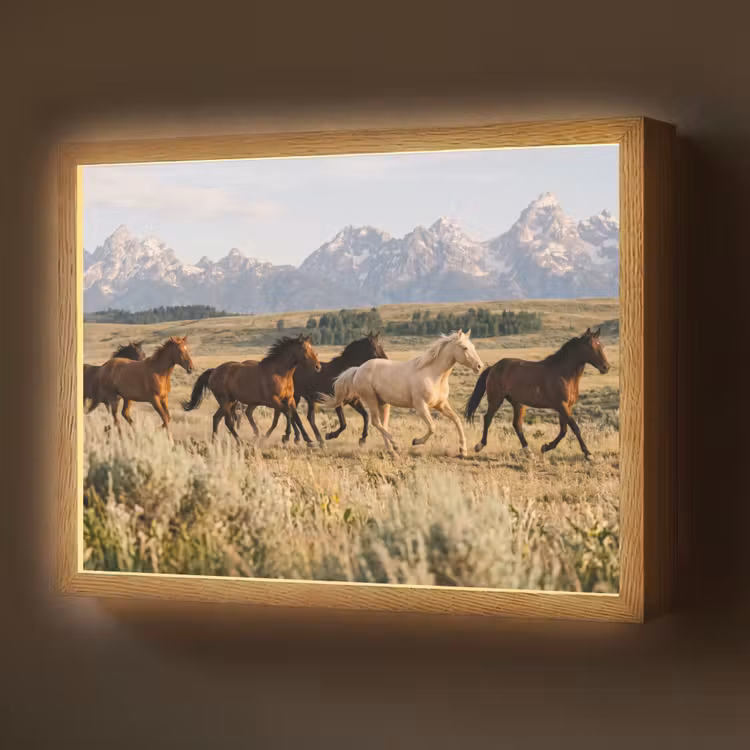 Lightbox - Wandlamp - Paarden - Kudde - Bergen - Vrijheid - Wild — 1