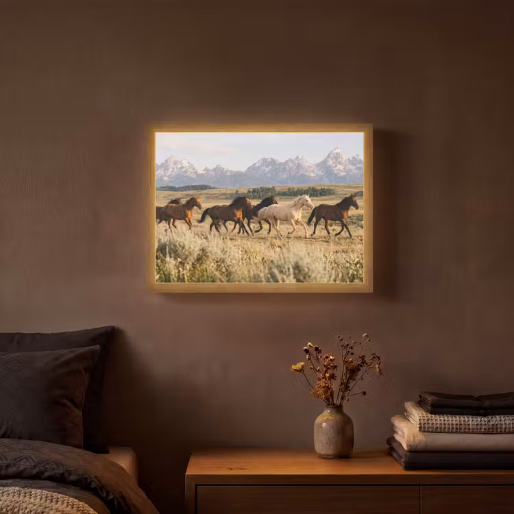 Lightbox - Wandlamp - Paarden - Kudde - Bergen - Vrijheid - Wild — 3
