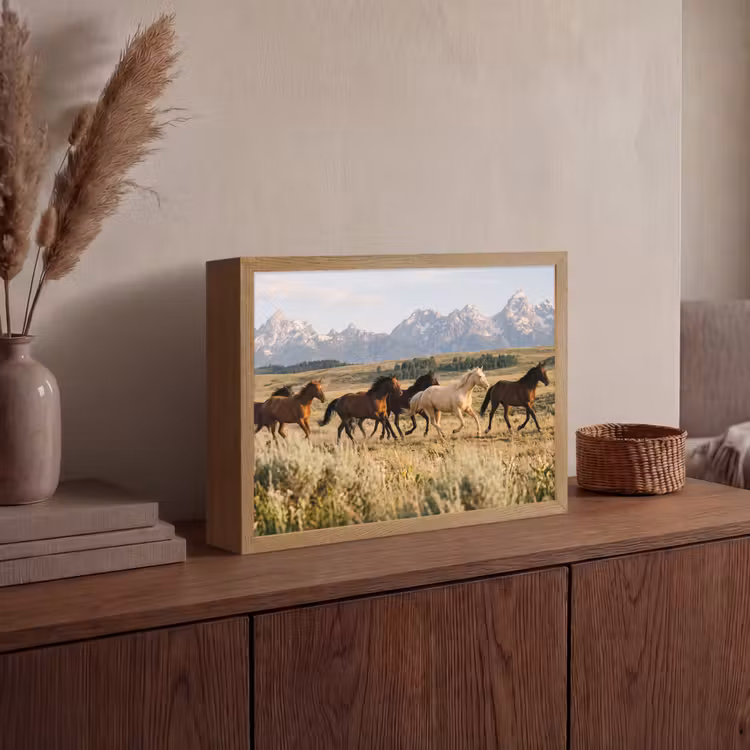 Lightbox - Wandlamp - Paarden - Kudde - Bergen - Vrijheid - Wild — 4