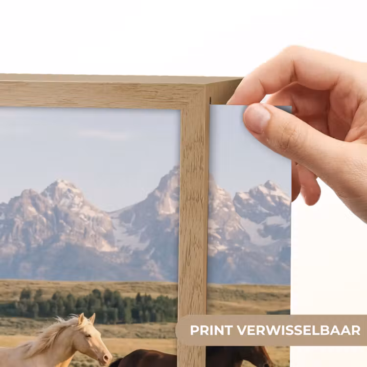 Lightbox - Wandlamp - Paarden - Kudde - Bergen - Vrijheid - Wild — 5