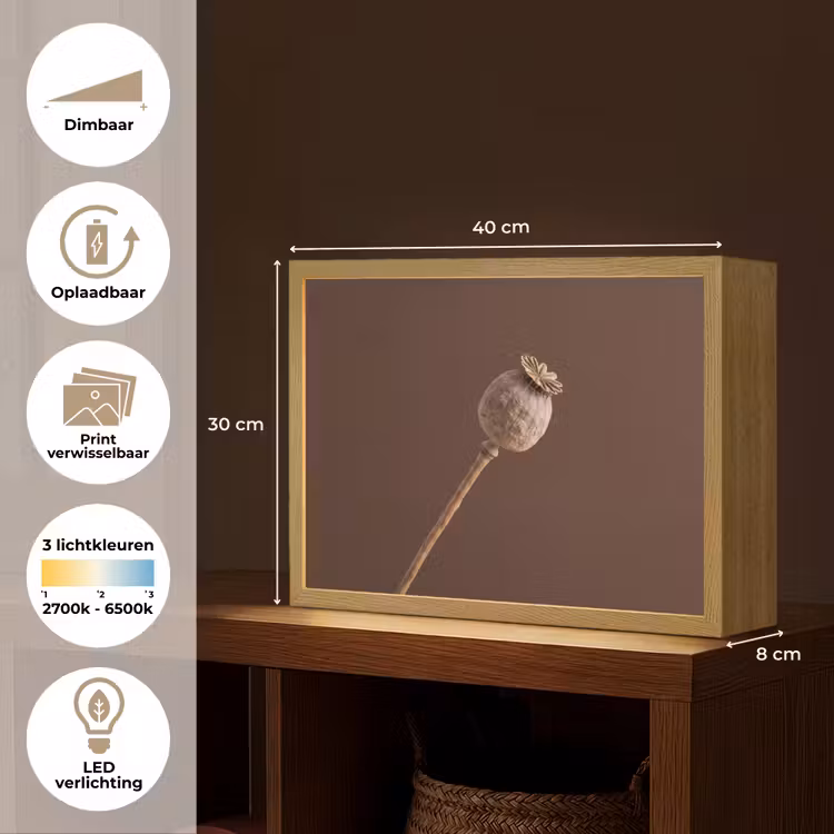 Lightbox - Wandlamp - Papaverbol - Droogbloem - Bruin - Minimalistisch — 10