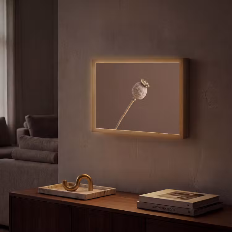 Lightbox - Wandlamp - Papaverbol - Droogbloem - Bruin - Minimalistisch — 2