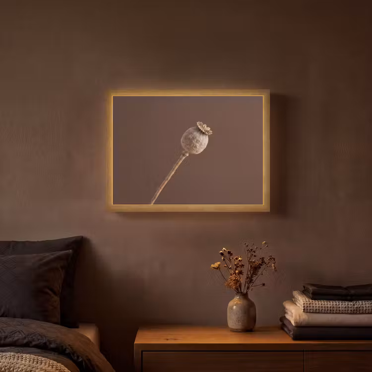 Lightbox - Wandlamp - Papaverbol - Droogbloem - Bruin - Minimalistisch — 3