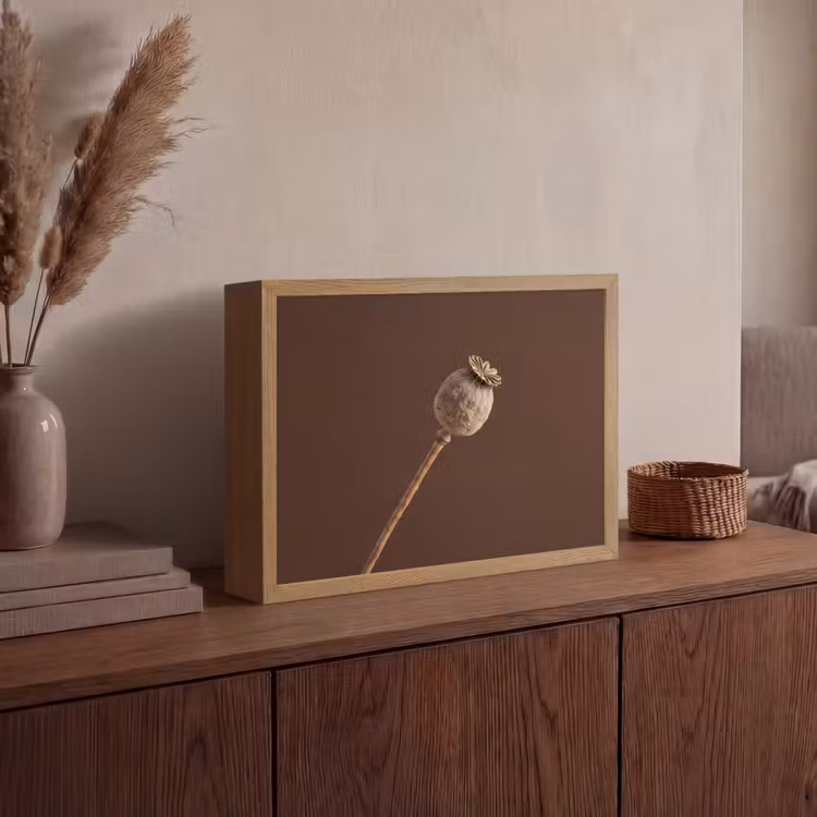 Lightbox - Wandlamp - Papaverbol - Droogbloem - Bruin - Minimalistisch — 4